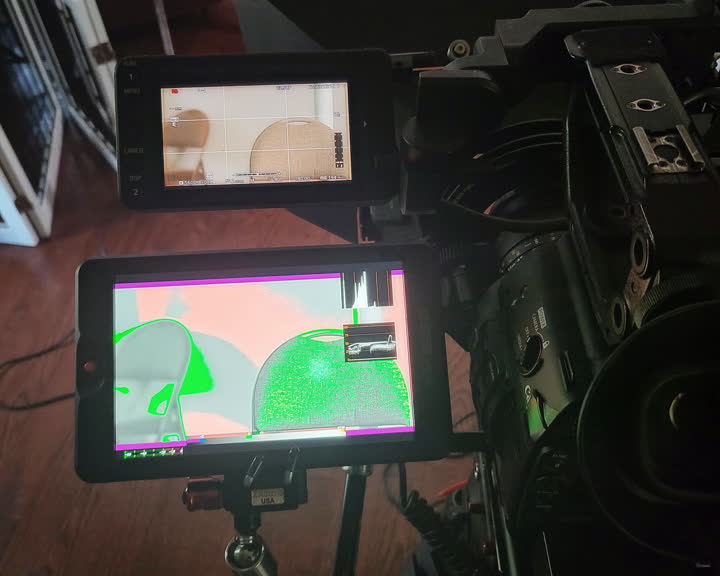 Camera with false-color exposure monitor